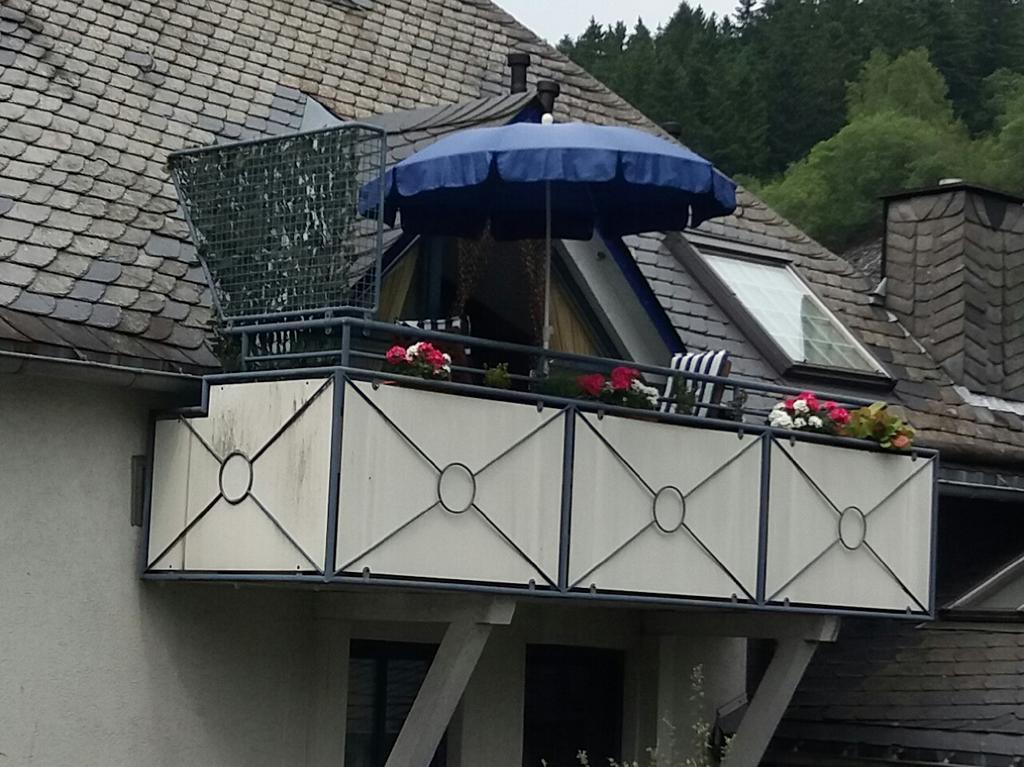 Апартаменти Haus Elsholz Willingen Віллінген Екстер'єр фото